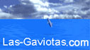 las-gaviotas_logo