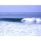 Rosarito-Club-Marena-z%20nzok38