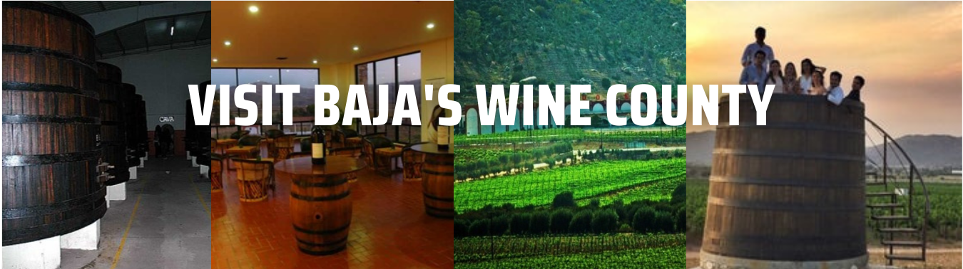 Rosarito's Baja Vacation Rentals a Rosarito Hotel Alternative, Rosarito ...